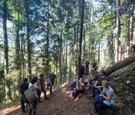 Na pobočju nad CŠOD Trilobit je kot 4. postaja Naravoslovne in rudarske učne poti predstavljen izkopan vhod v rudnik manganove rude – prehodnih je nekaj metrov rova. Manganova ruda se je dodajala v plavžu k železovi rudi, saj je omogočala lažje ločevanje žlindre in železa. Foto: Irena Marušič